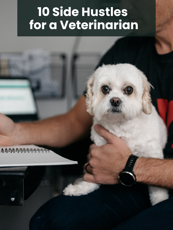 Featured image showing veterinarian and pet with headline: 10 side hustles for a veterinarian